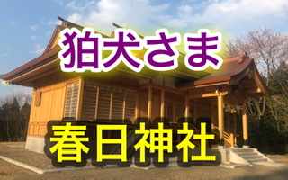 kasuga_shrine